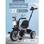 Трехколесный велосипед Velobibi 10 дюймов