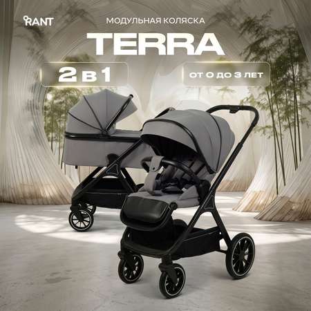 Коляска 2в1 Rant Basic Terra 2в1 серый