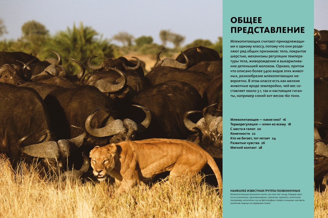 Книга Махаон Бертонатти К. Перейра Х. А. Тайны животных - фото 7