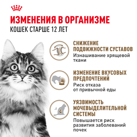 Корм для кошек ROYAL CANIN Ageing 85гр для пожилых 12+ желе пауч