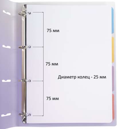 Тетрадь со сменным блоком Brauberg клетка 120 лист.
