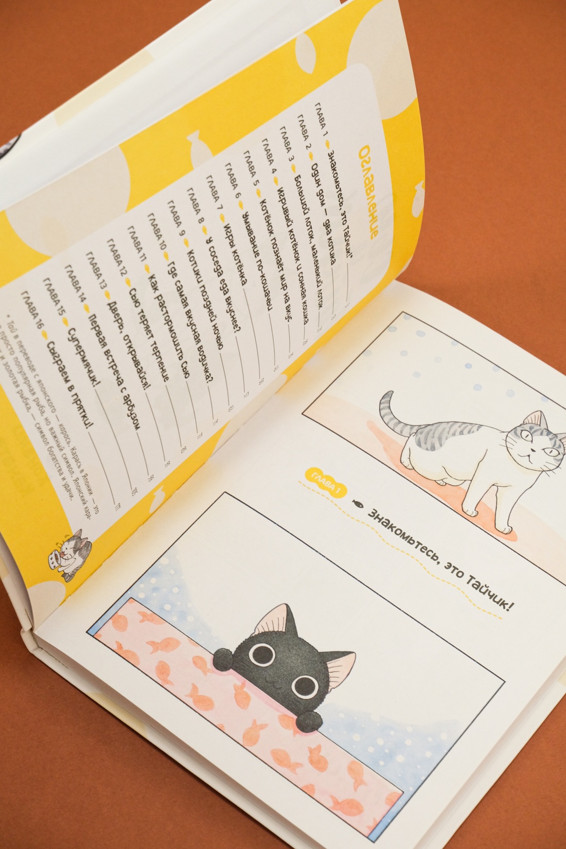 Книга АЗБУКА Графические романы/Каната К./Сью и Тайчик. Кн. 1 - фото 13