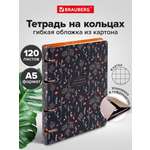 Тетрадь Brauberg клетка