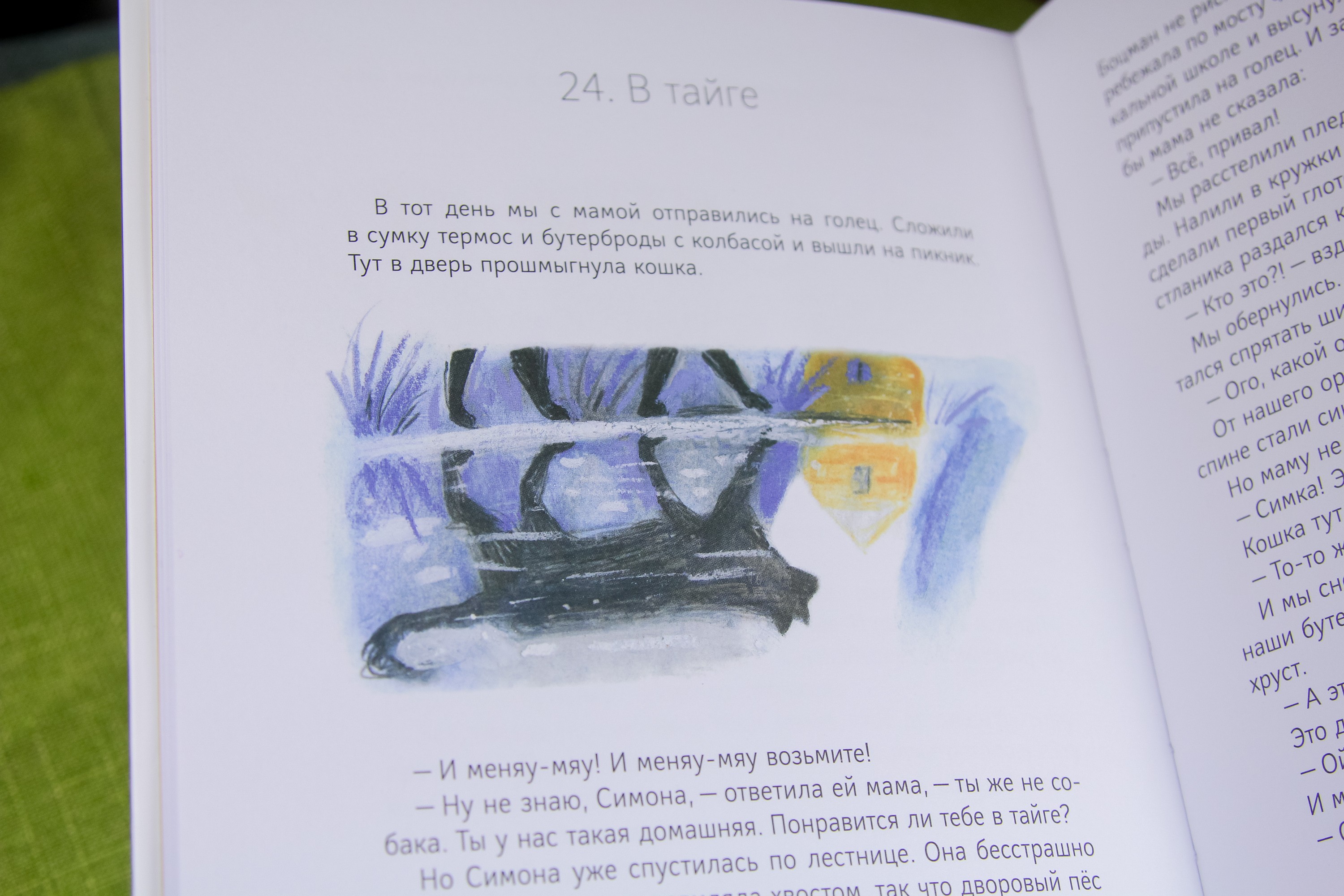 Книга Волчок Кедровый слоник - фото 6