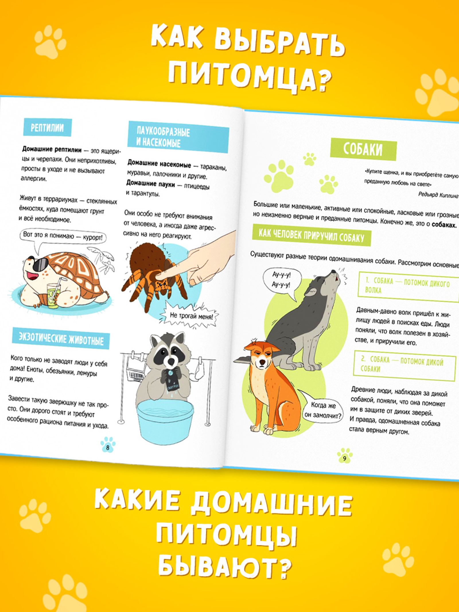 Энциклопедия Буква-ленд в твёрдом переплёте Домашние питомцы 72 стр - фото 4