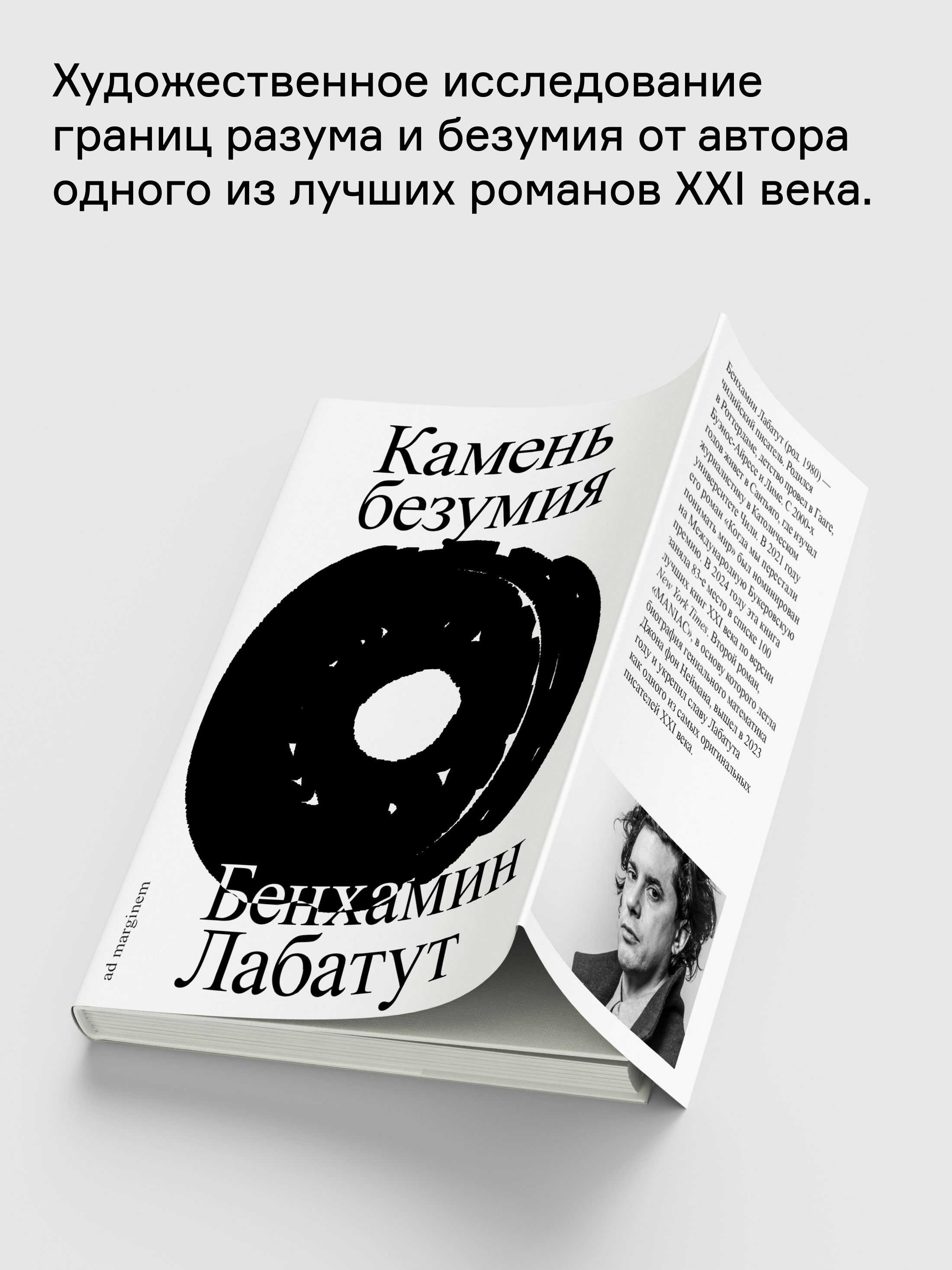 Книга Ad Marginem Камень безумия - фото 2