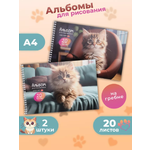 Альбом Prof-Press А4 20 лист. 2 шт.