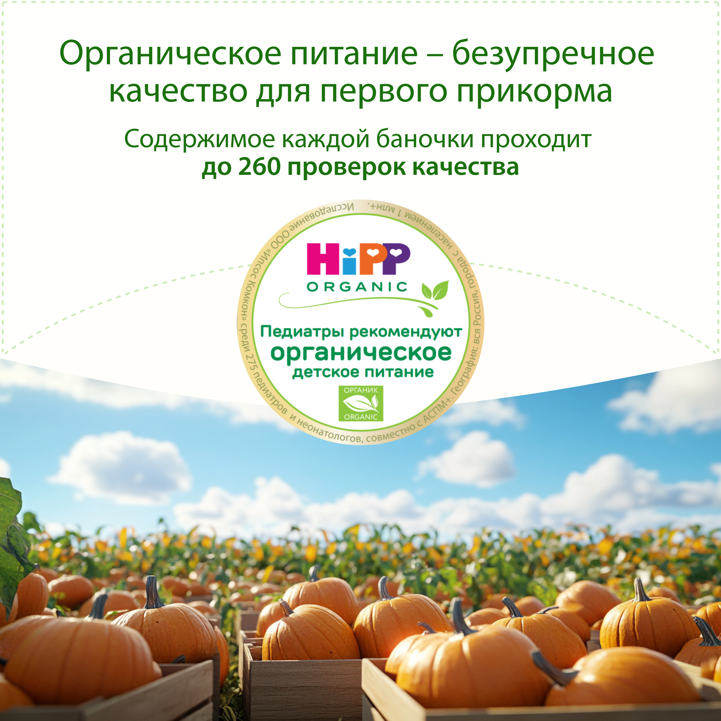 Пюре Hipp Тыква с 5 мес 80 г - фото 10