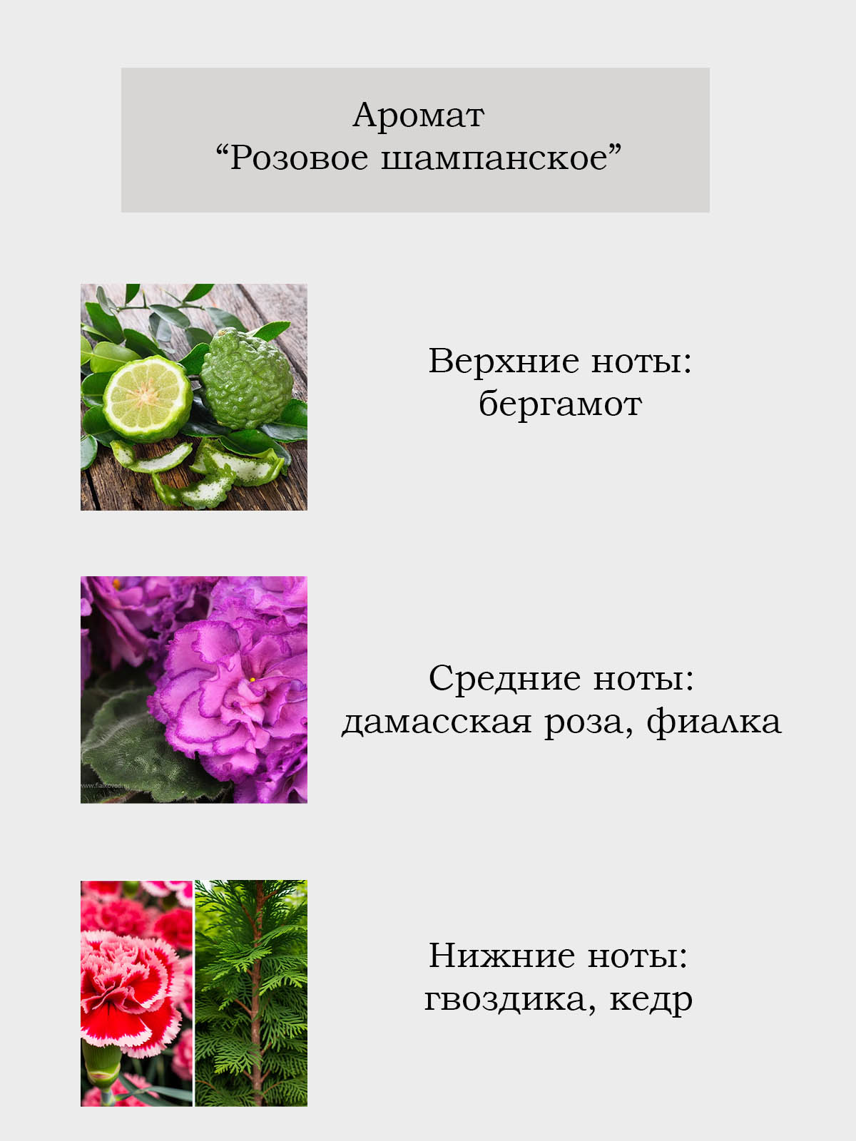 Диффузор для дома с палочками Plates and More Розовое шампанское 50мл - фото 2