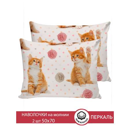 Комплект наволочек Сказка. Котята 50х70 см 2 шт на молнии