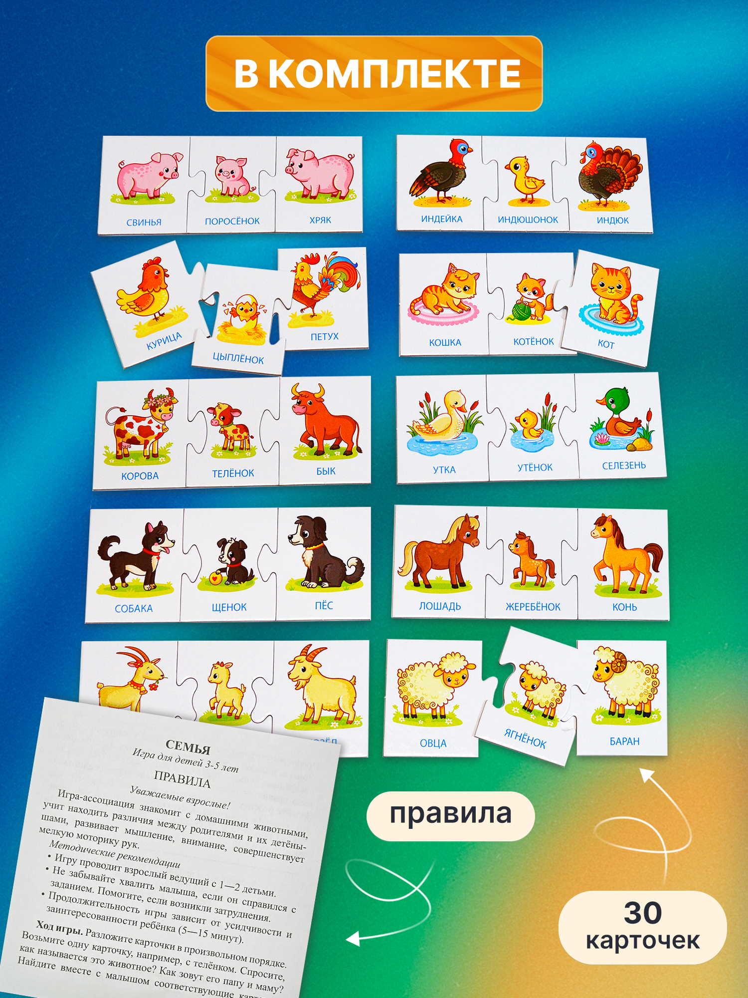 Игра развивающая Дрофа-Медиа Семья 4209 - фото 6