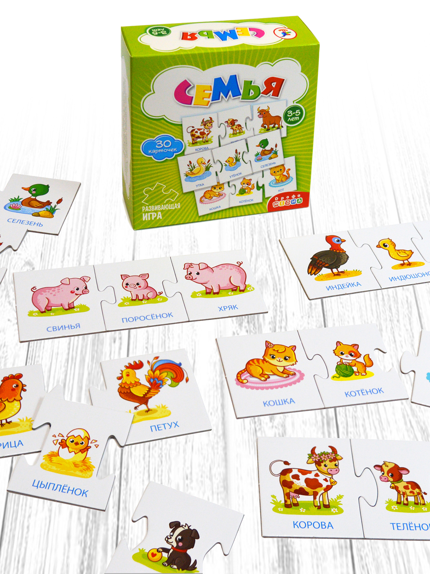 Игра развивающая Дрофа-Медиа Семья 4209 - фото 5