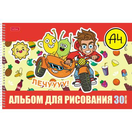 Альбом Hatber Влад А4 А4 30 лист. 1 шт.