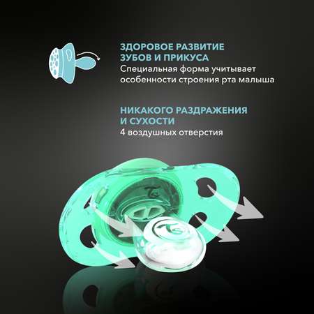 Пустышка Twistshake ортодонтическая от 0 мес. 2 шт.