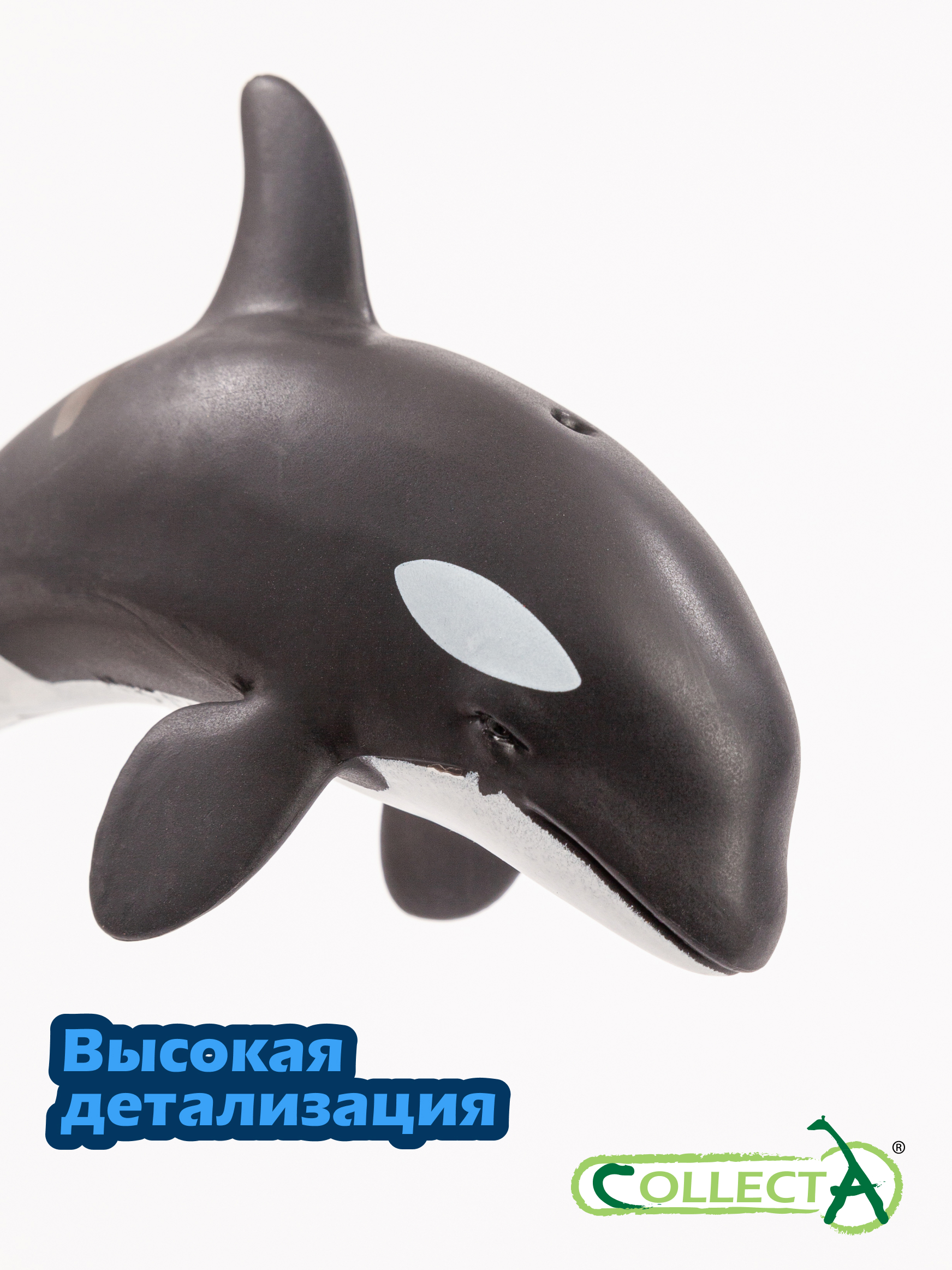 Фигурка Collecta Детёныш косатки - фото 3