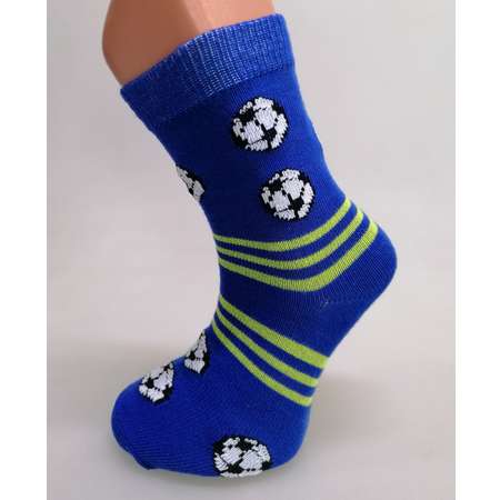 Носки 2 пары Master Socks