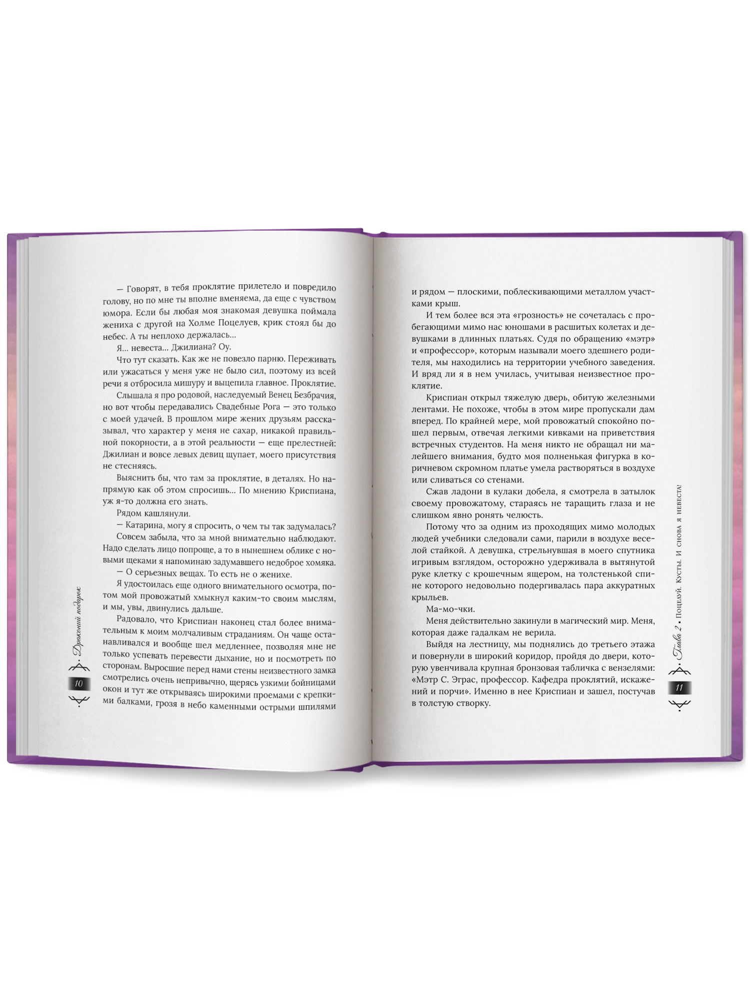 Драконий подарок Феникс Книга - фото 11