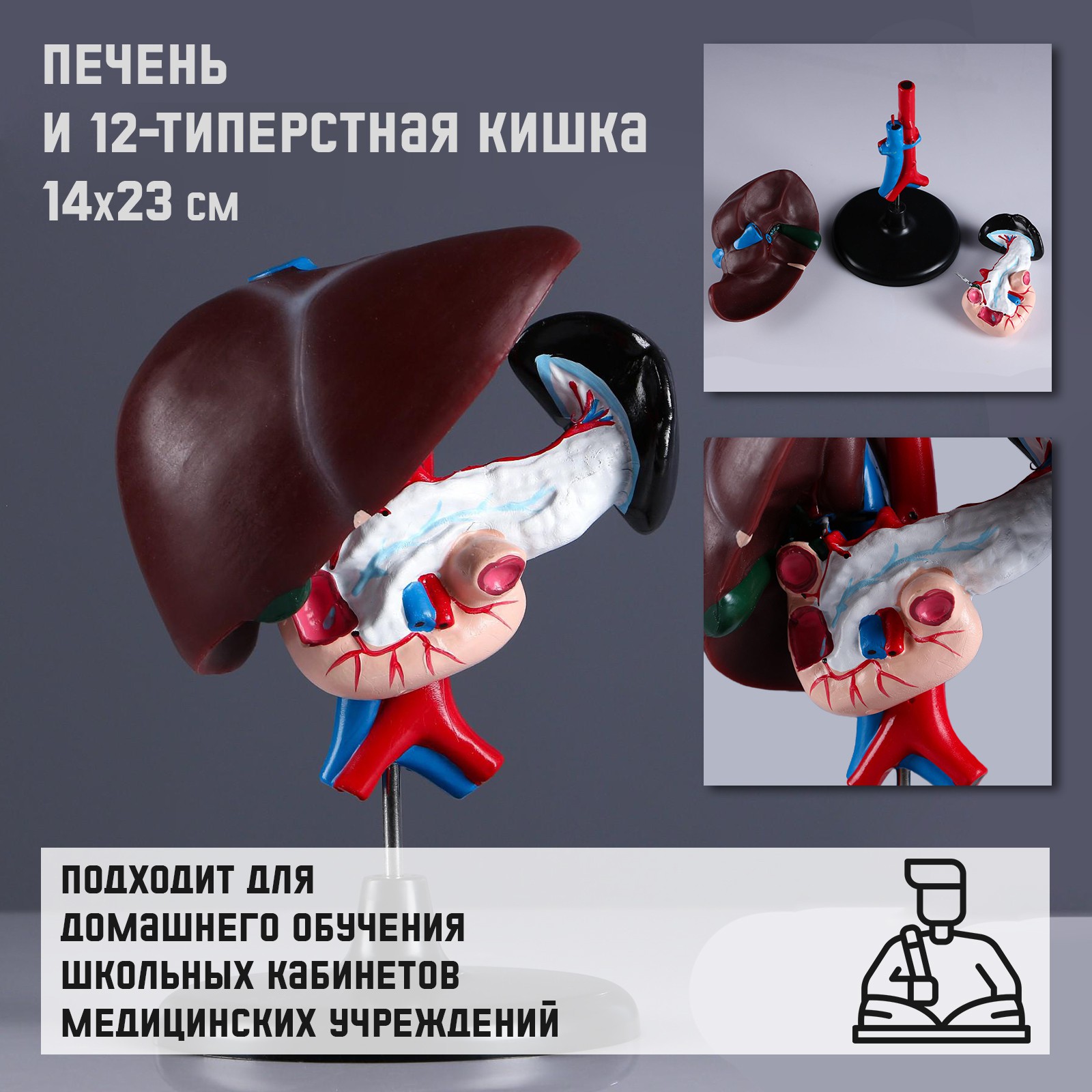 Наглядное пособие Sima-Land - фото 1