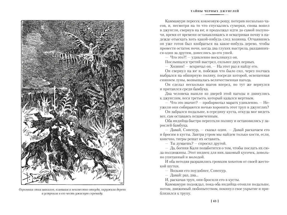 Книга АЗБУКА Сальгари Э Сандокан Тайны Черных джунглей Жемчужина Лабуана Пираты Малайзии - фото 14