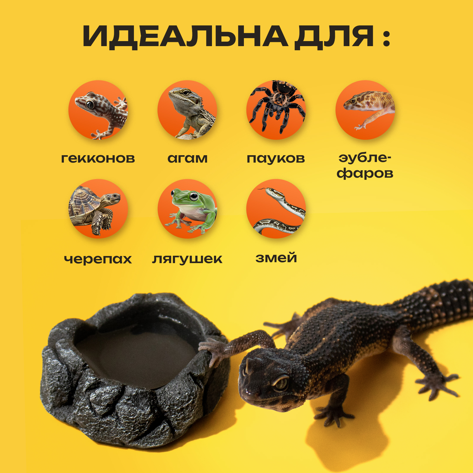 Поилка кормушка PETPOWER для рептилий эублефара в террариум - фото 3