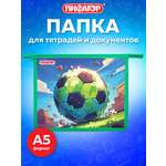 Папка для тетрадей Пифагор А5