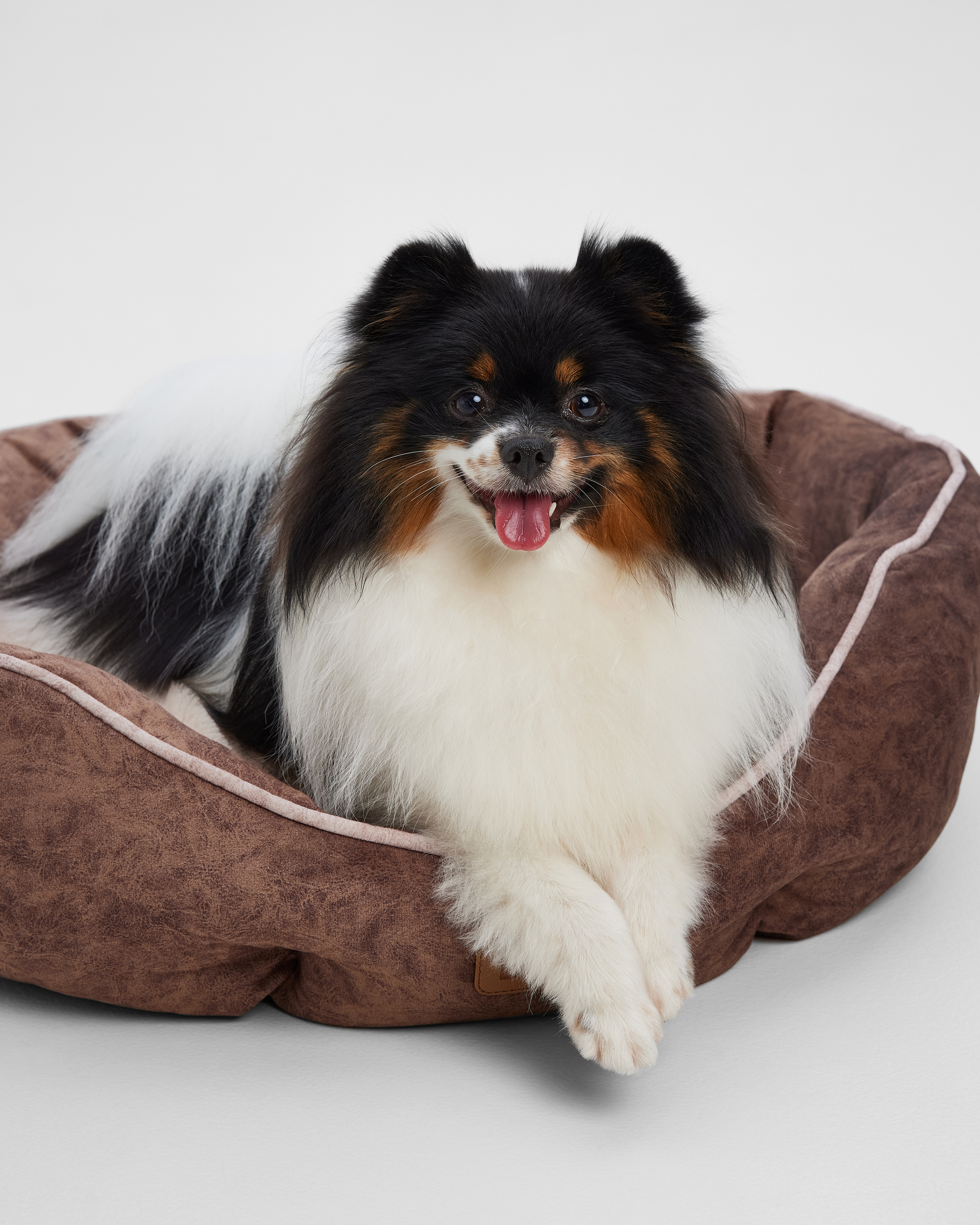 Лежанка для собак Barbaks Крем-брюле M 60*50*18см со съемной подушкой - фото 3