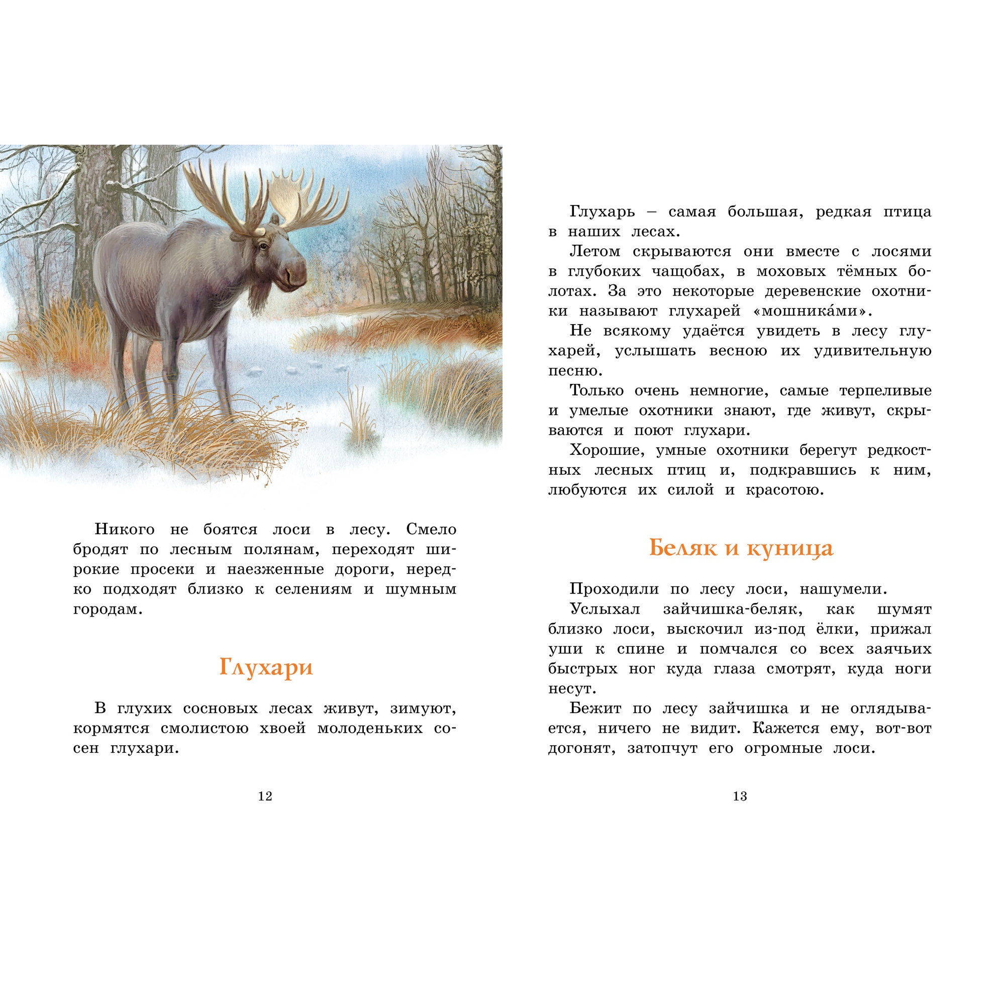 Книга МАХАОН Год в лесу. Рассказы о природе Соколов-Микитов И. - фото 3