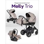 Коляска 3в1 Farfello Molly Trio бежевый