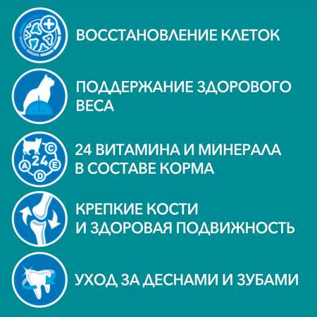 Корм для кошек Purina One пожилых с курицей и цельными злаками 750г