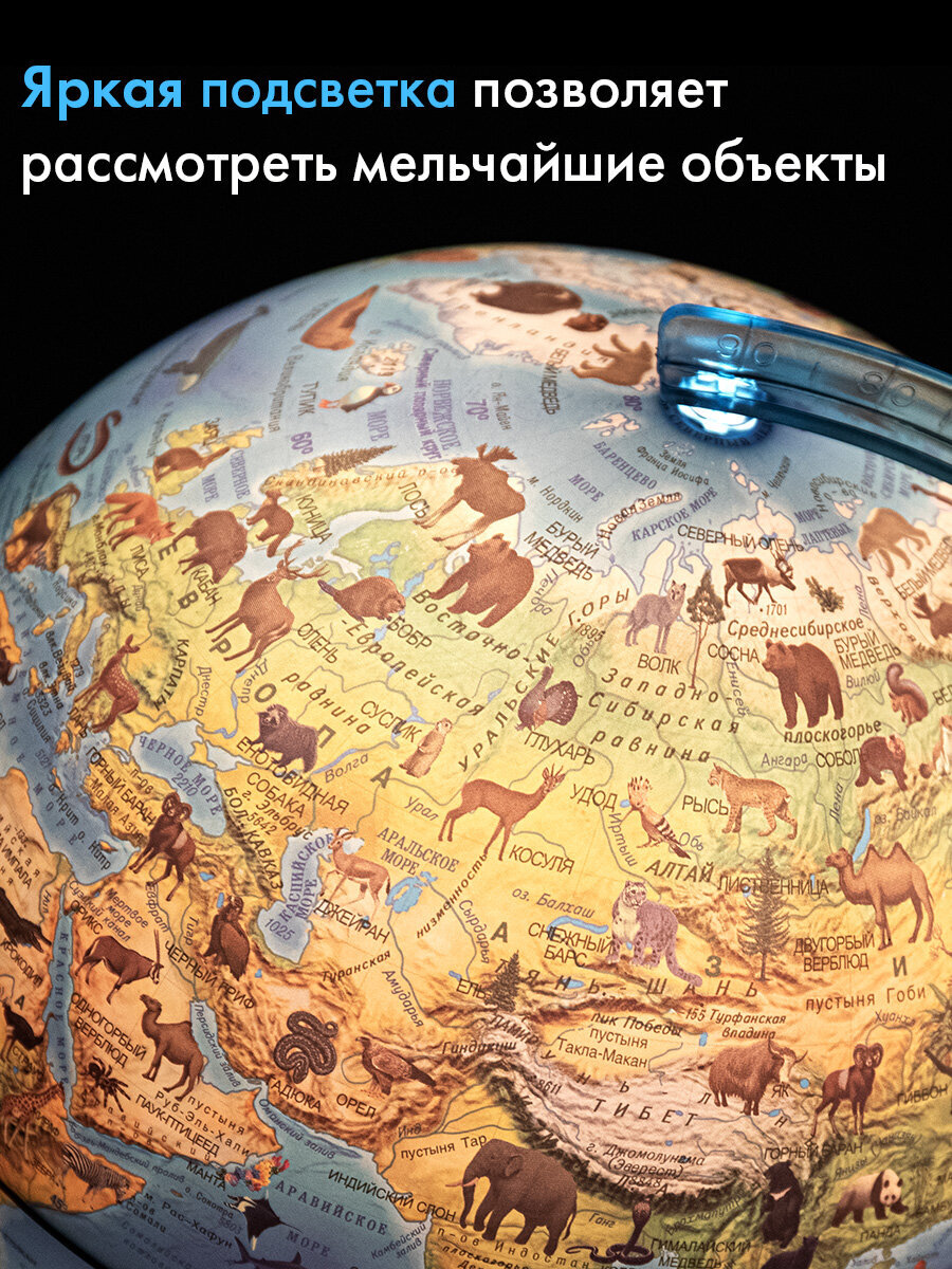 Глобус Globen интерактивный зоогеографический с подсветкой и VR очками диаметр 25 см - фото 2