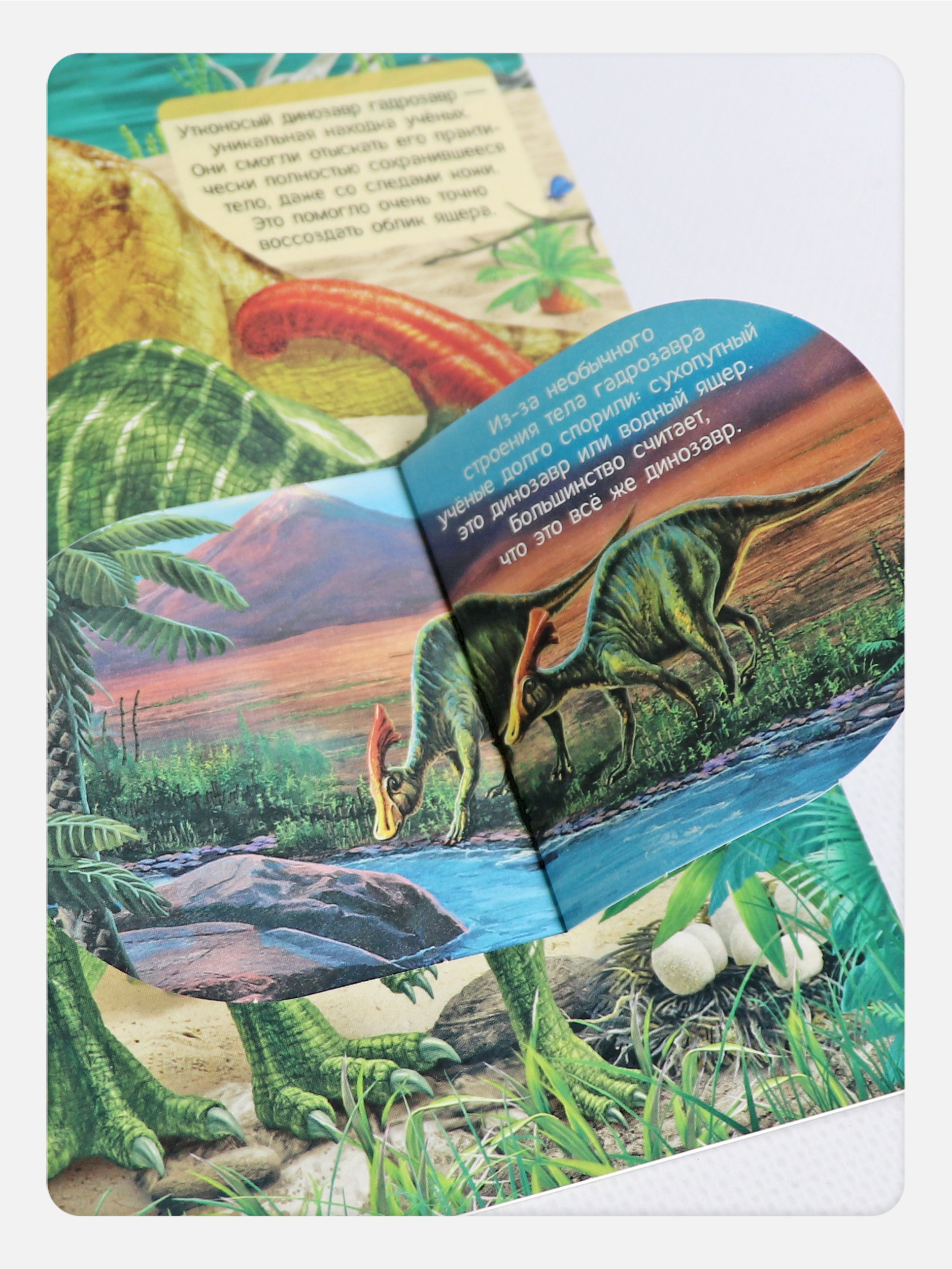 Книга с окошками Malamalama Плакат на стену Динозавры Энциклопедия - фото 7