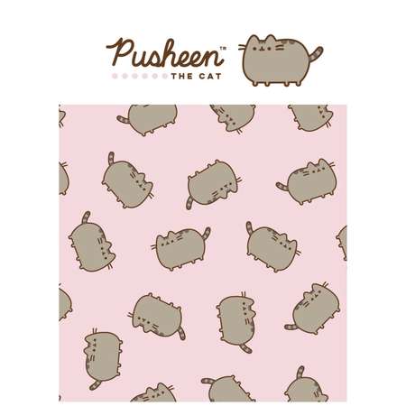 Записная книжка Pusheen 80 лист. в ассортименте