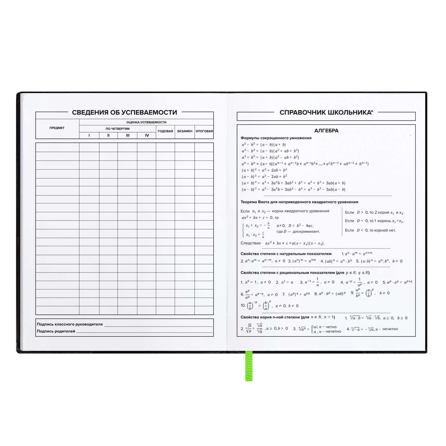 Дневник школьный ФЕНИКС+ А5+ 48 листов мягкий переплёт ПВХ ляссе карман на лицевой части обложки - фото 9