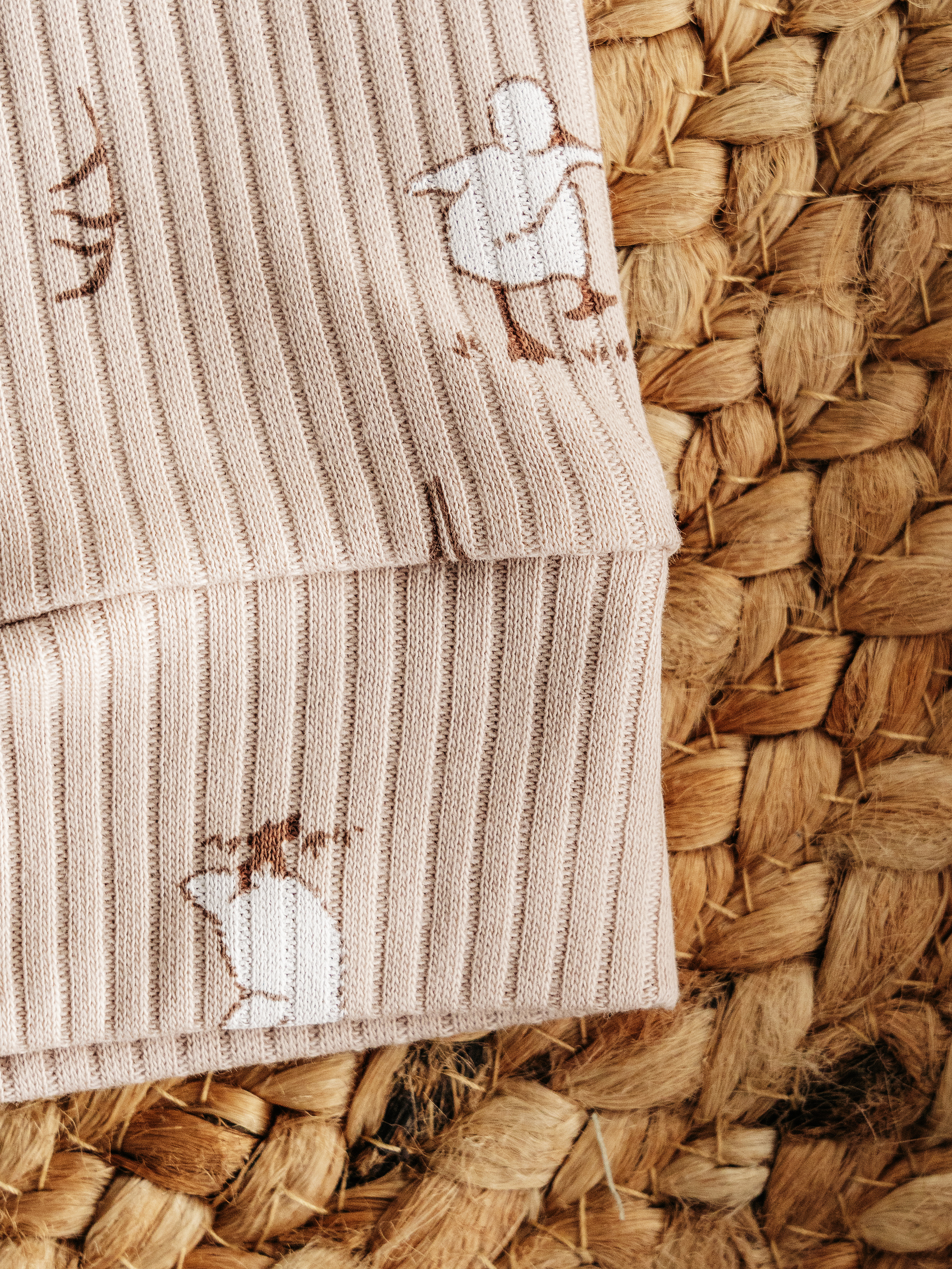 Штанишки 3 шт TOPOTUSHKI ТКР2075354ин - фото 7