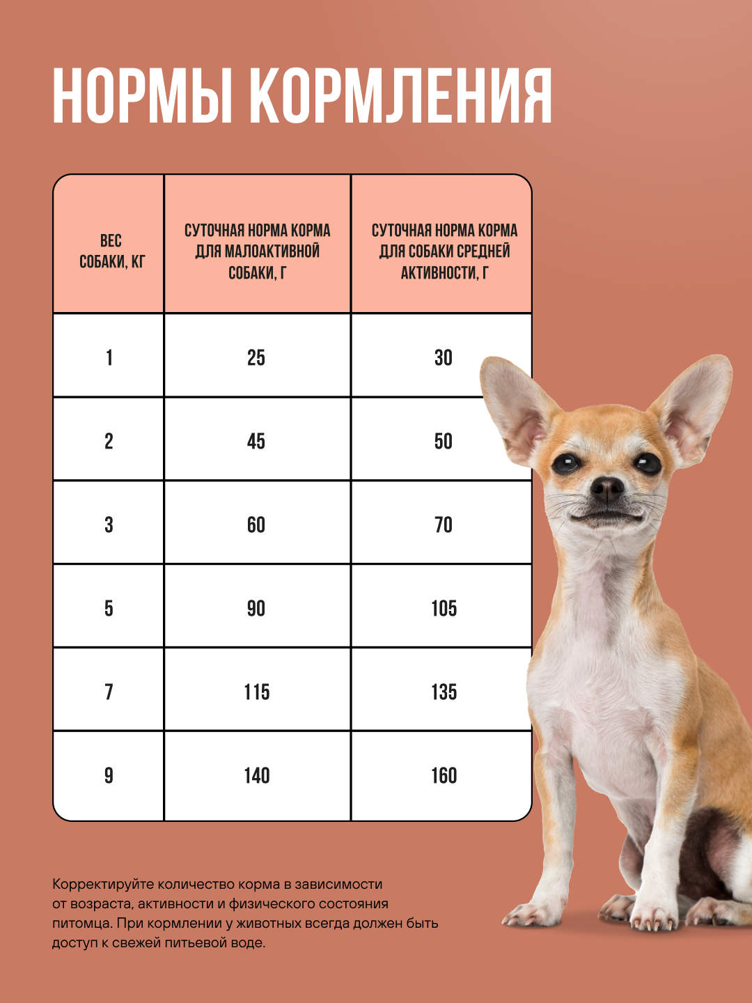 Корм сухой полнорационный BOWL WOW для взрослых собак мелких пород с ягненком, индейкой, рисом и тыквой 800 г - фото 5