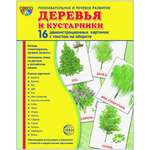 Карточки ТЦ Сфера Деревья и кустарники
