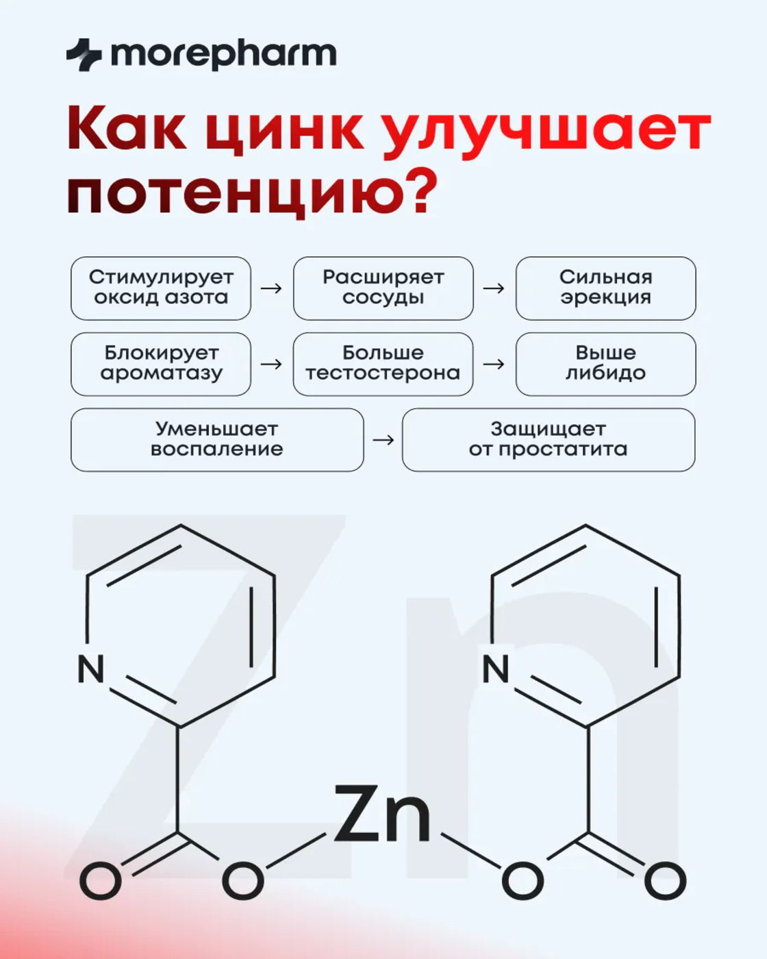 БАД morepharm Цинк хелат для мужчин - фото 8