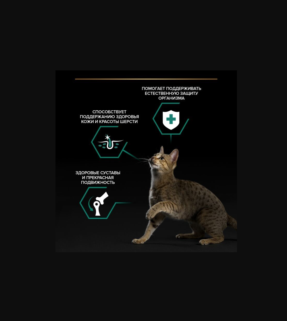 Влажный корм PRO PLAN NutriSavour Adult 85_1 - фото 6