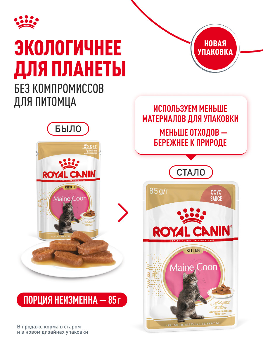 Корм для котят Royal Canin 85г Maine Coon Kitten соус для котят мейн кун пауч - фото 11
