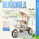 Трехколесный велосипед Farfello 10 дюймов