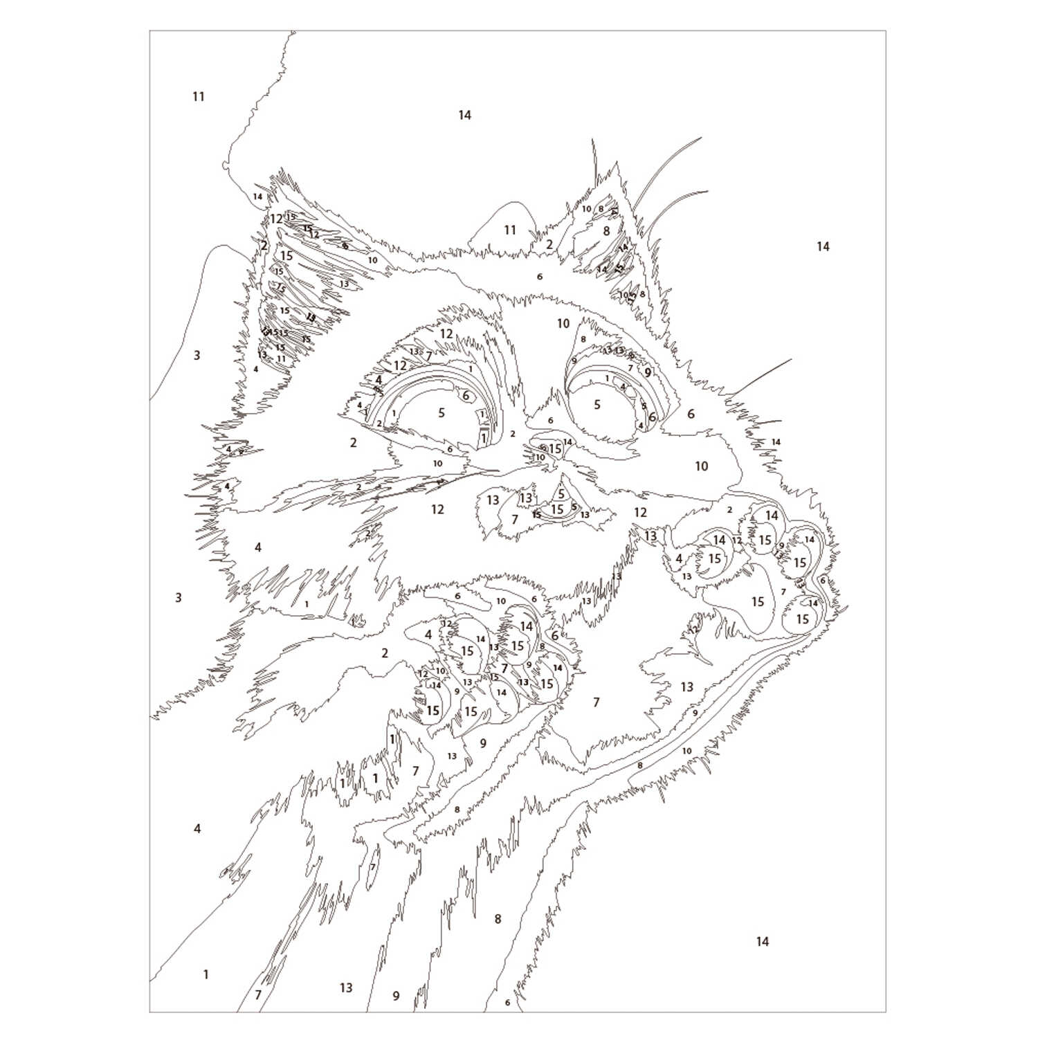 Картина по номерам Феникс + Лапки - фото 2