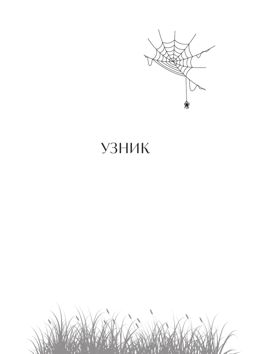 Книга Эксмо Ведьмины тропы - фото 9