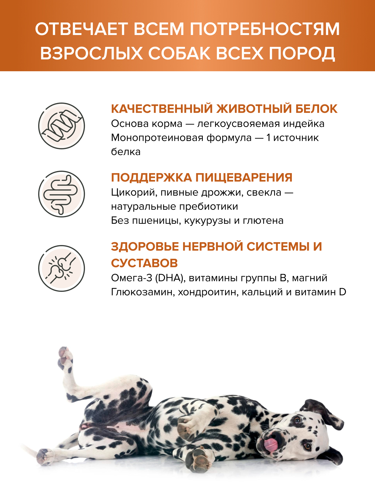 Корм для взрослых собак DOCTRINE сухой с индейкой и рисом 3 кг - фото 2