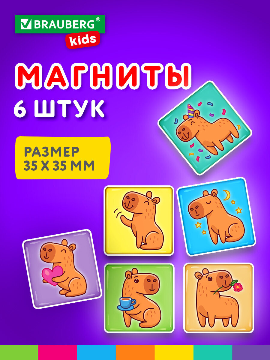 Магнит Brauberg 6 шт. - фото 1