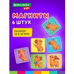 Магнит Brauberg 6 шт.