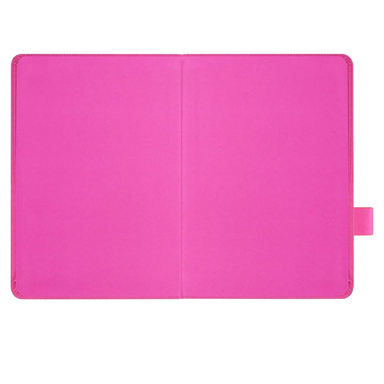 Ежедневник Феникс + ESCALADA 120 лист. - фото 19