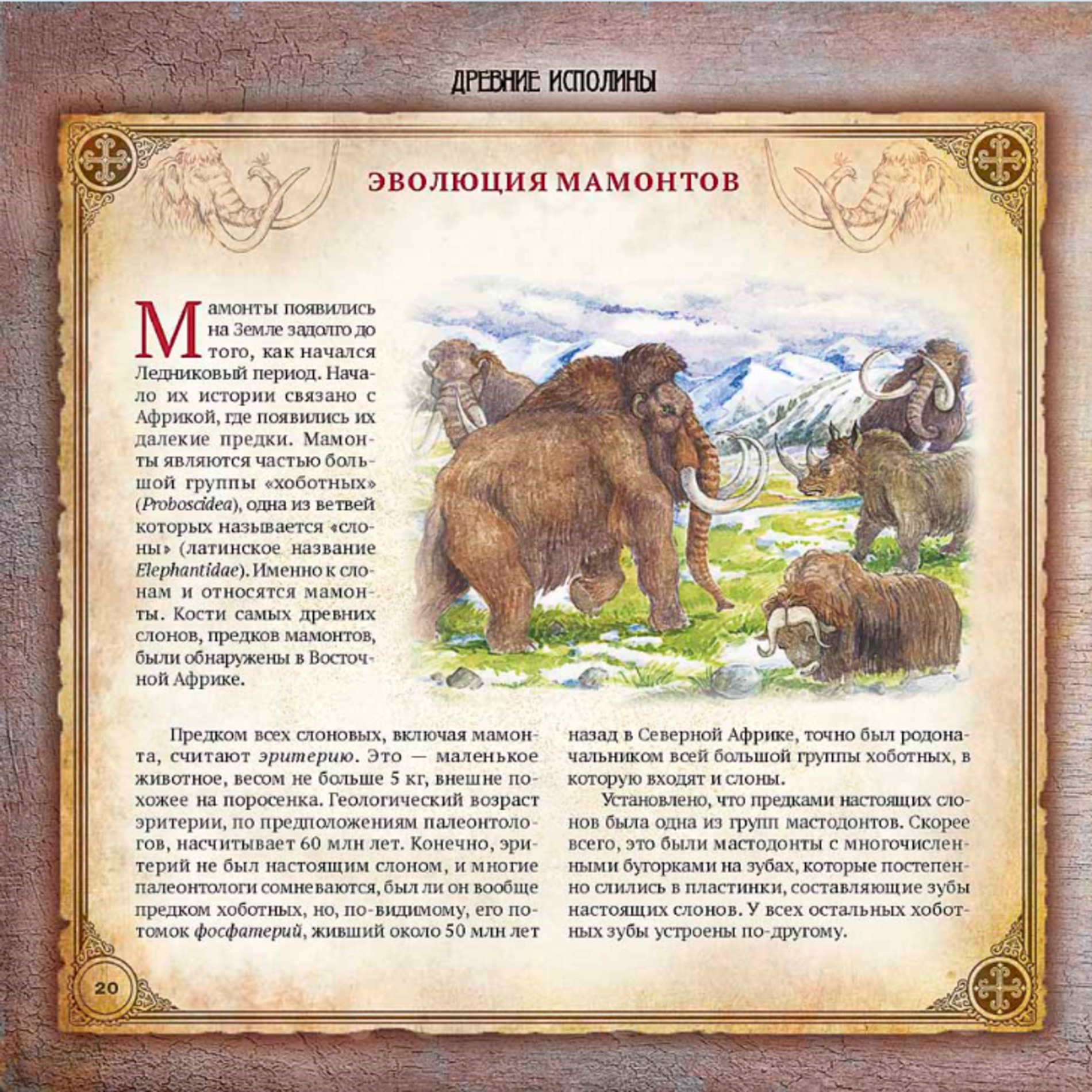 Книга АЙАР Мамонт и другие древние животные Сибири - фото 2