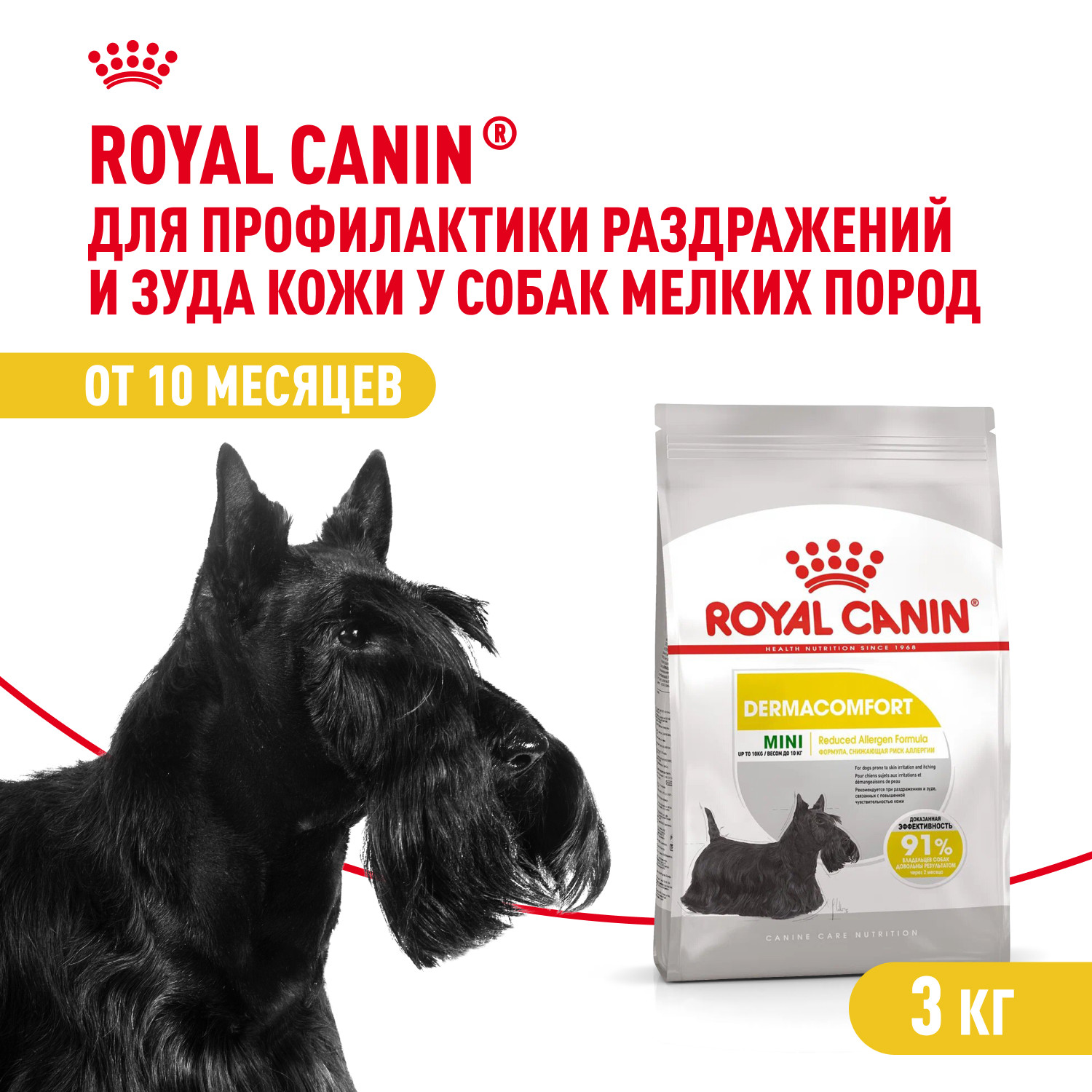 Корм для собак ROYAL CANIN Mini Dermacomfort при раздраженной и зудящей коже 3кг - фото 1