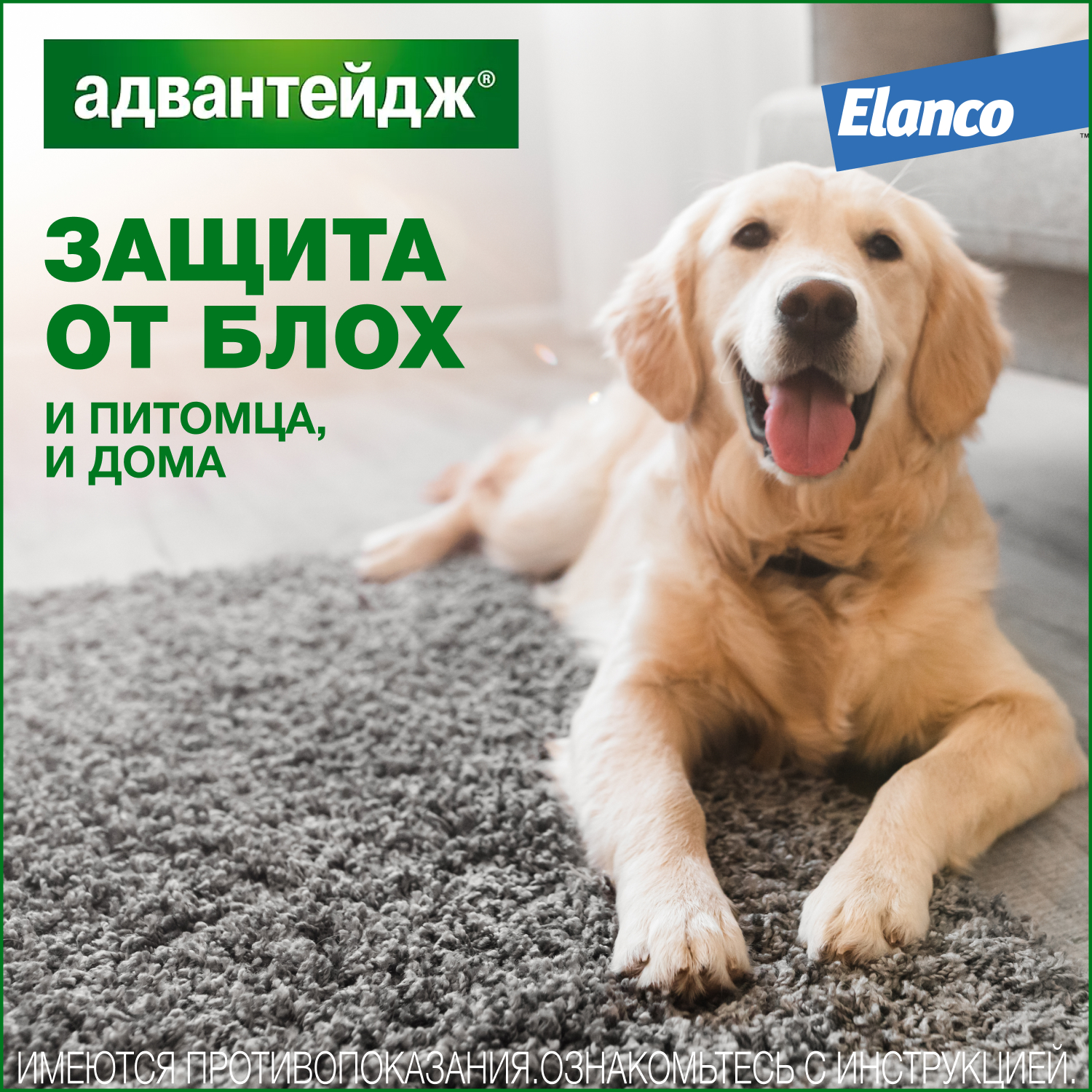 Капли для собак Elanco Адвантейдж против блох 4 пипетки - фото 6