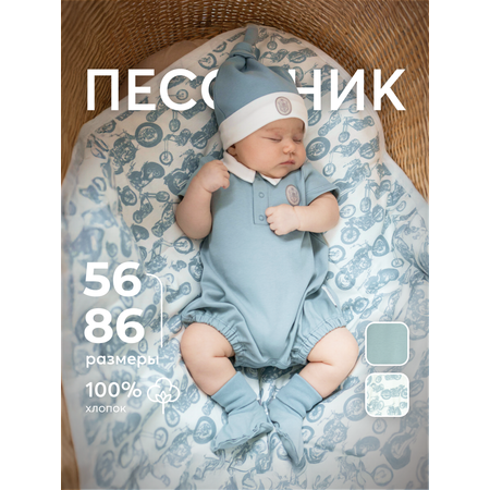 Песочник НаследникЪ Выжанова